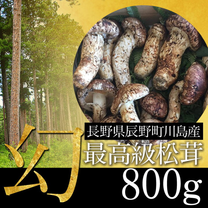 楽天市場】国産 松茸 まつたけ 800g 8〜16本 マツタケ 長野 産地直送  