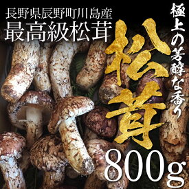 楽天市場 国産 松茸 長野産の通販 楽天市場 国産 松茸 長野産の通販