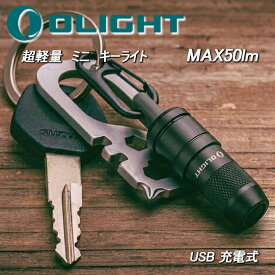 LED キーライト 懐中電灯 ランプ 軽量 最小 コンパクト USB-A 充電式 フラッシュライト 最強 IPX6防水 50ルーメン 強力 おすすめ Olight オーライト imini 2 キャンプ 登山 釣り 防災