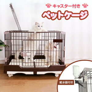 RAKU ybgP[W P[W C[P[W LX^[t t V Eh~ ^ѕ֗ gȒP |ȒP t  ybg ETM tFbg q bg 
