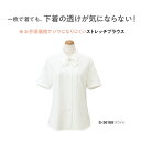 事務服 制服 半袖ブラウス シャツ レディース ホームクリーニング セロリー Selery S36188 リボン付き UVカット 速乾 …