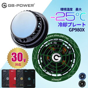 �y�݌ɕi�z���M�W���p�� 2026 �y���`�F �y���`�F�t�@�� 30V �ŐV GB-POWER �� GP980X (�y���`�F��̌^�t�@���Z�b�g) �t�@�� GP980 �E�F�A �t�@���t���E�F�A�Ή� EF�E�F�A ���啗�� ��ƕ� ��ƒ� �M