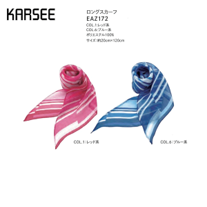 ypԁz { fB[X z[N[jO J[V[JV} EAZ172 OXJ[t t[vt