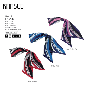 ypԁz { fB[X z[N[jO J[V[JV} EAZ487 OXJ[t t[vt