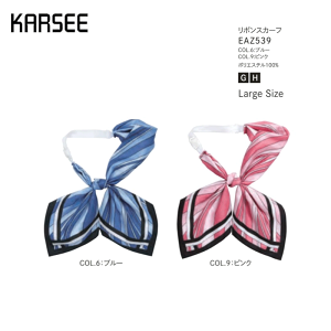  { fB[X z[N[jO J[V[JV} EAZ539 XJ[t{