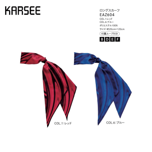  { fB[X z[N[jO J[V[JV} EAZ604 OXJ[t t[vt