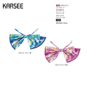  { fB[X z[N[jO J[V[JV} EAZ844 XJ[t{