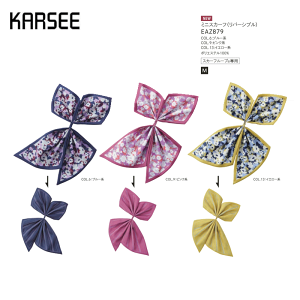  { fB[X z[N[jO J[V[JV} EAZ879 ANZT[[vpXJ[t{