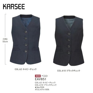  xXg fB[X z[N[jO J[V[JV} EAV851 2WAYXgb` z   Rۗn hV l[[v XJ[t[v