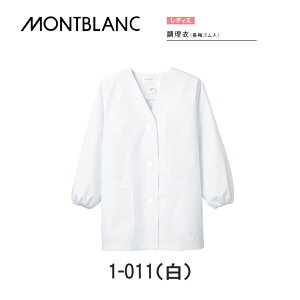 H  Hi ߁ifBX Sj 1-011 ݂Ȃ   Zu