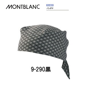 H  Hi qXq o_i jp Y fB[X 9-290  Zu MONTBLANC