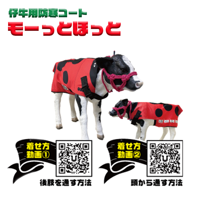 楽天市場】仔牛の防寒具 USIMO モーっとほっと 仔牛用防寒コート