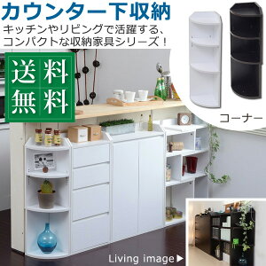 Lb` JE^[[ ^ R[i[bN  22.0 s22.0 80cm ˂t VFt X ؐ I R[i[[ HI ~jHI JE^[[ ^[ bN 䏊