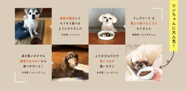 楽天市場 犬用鹿肉ふりかけ 50g 3袋 ドッグフード 無添加 国産 セミモイストタイプ 柔らかい 歯が弱い シニア 老犬 高タンパク 低カロリー 送料無料 オートモズｆ ｆ