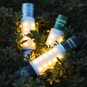 50/50[NVbv 50/50workshop MINIMALight 2.0 TR8-5WS-4467 LED^ Cg