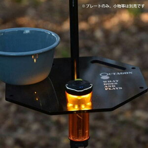 GtB efim OCTA F PLATE 2WAYX^h BK OC-PL-BK1 [^ANZT[]