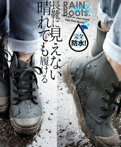 Cu[c C fB[X O[ J[L t  H ~ M L ₷ ɂȂ h   ~h [XAbv CɌȂ ł Cu[c 6/10##1