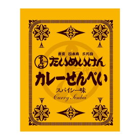 たいめいけん カレー せんべい 410g