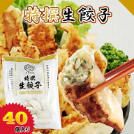 ≪冷凍≫特撰生餃子 40個 餃子 ぎょうざ 金星餃子 冷凍餃子 薄皮餃子 水餃子 餃子鍋 お取り寄せ 通販 ギ…
