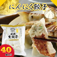≪冷凍≫にんにく餃子 40個 餃子 ぎょうざ にんにく ニンニク 金星餃子 国産餃子 冷凍餃子 薄皮餃子 水餃…