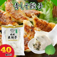 ≪冷凍≫青しそ餃子 40個 餃子 ぎょうざ しそ シソ さっぱり 金星餃子 冷凍餃子 薄皮餃子 水餃子 餃子鍋 …