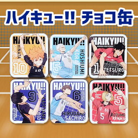 【在庫限り】ハイキュー！！ キャラタブチョコ缶 全キャラ6個セット バレンタイン 義理チョコ おもしろチョコ パロディチョコ 面白チョコ オモシロ 笑えるチョコ ばらまき バレンタインデー ギフト ハイキュー