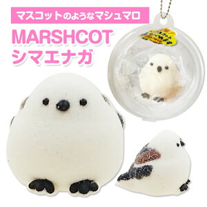 y݌Ɍz}V} }VRbg* V}GiK * Hׂ }XRbg  남َq ܂Ȃ v`Mtg v[g nEB NX}X a CX^f