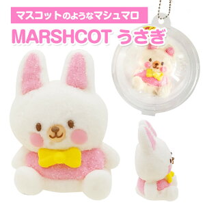 y݌Ɍz}V} }VRbg*  * Hׂ }XRbg  남َq ETM v`Mtg v[g nEB NX}X a CX^f