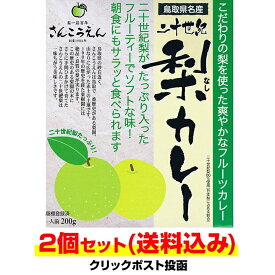 【メール便対応】鳥取県二十世紀梨のカレー* 二十世紀梨カレー 2個セット * レトルト食品フルーツカレー レトルトカレー 誕生日 プレゼント 保存食 非常食 備蓄食 長期保存 ノベルティ 景品 父の日 敬老の日 母の日 お中元 御中元 お歳暮 御歳暮 内祝い