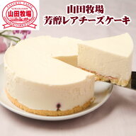 山田牧場 芳醇レアチーズケーキ 濃厚クリーミーな牧場チーズケーキ 濃厚チーズケーキ 誕生日ケーキ ホー…
