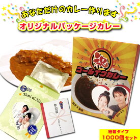 オリジナルカレー制作 オリジナルパッケージカレー■紙箱■1,000個セット 名入れ レトルトカレー カレーギフト 写真入りカレーパッケージ ビーフカレー 甘口 辛口 業務用カレー 粗品 感謝 お年賀 お歳暮 お中元 販促品 ゴルフコンペ プチギフト 景品まとめ買い 大量制作