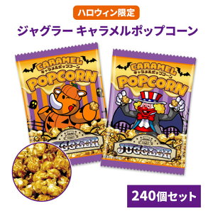 nEB WO[ L|bvR[240܁i12128jnEB َq  p`R Xbg p`X p`L ii zz Cxgp ܂Ƃߔ Ɩp