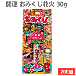 J^ ݂ԉ 30g 200Zbg(1c/s)(34939) 莝ԉ΂܂Ƃߔ  mxeB ei ^肦 Ղ ii čՂ