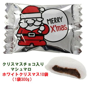 y󒍐YzzCgNX}X `R}V} 300g(85) 10܃Zbg(1c/s)  NX}Xَq ܂Ƃߔ  T^N[X q z Mtg̑i Ɩp