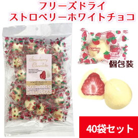 【予約注文次回入荷未定】フリーズドライ ストロベリー ホワイトチョコ 145g 40袋(1c/s) 個包装 苺チョコ いちご まとめ買い バレンタイン ひな祭り 母の日 プチギフト 義理チョコ イチゴチョコレート ホワイトデー クリスマス バレンタインお返し
