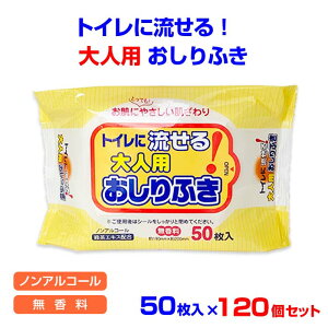 gCɗ lpӂ 50 120Zbg(N031) mAR[  唻TCY 