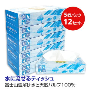 ɗeBbV X 5P 120W 60Zbg(5pbN×12ZbgA1c/s) BOXeBbV eBbVy[p[ boxeBbV eBbV 5pbN ܂Ƃߔ