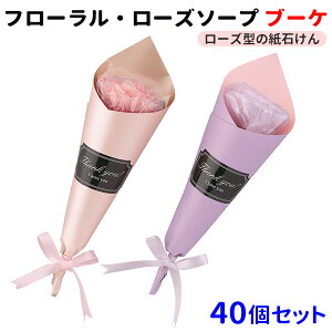 t[E[Y\[viu[Pj 40Zbgi223026jKN̐Ό ΂ o  ΂ ̑i ii ei LOi mxeB ̓ j v`Mtg  w 