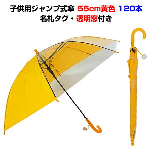 wPF qpP 55cmWvt 120{Zbgi2c/sji301749jwP55cm D^OtF̎qpP܂ƂߔIqP55cm LbYP wPʍw wZ ct ۈ牀