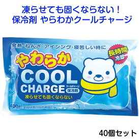 楽天市場 固くならない保冷剤の通販