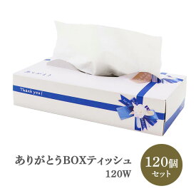ありがとう販促ティッシュペーパーまとめ買い * ありがとう BOXティッシュ 120W 120個セット(2c/s) 【20120142】 * ティッシュ 感謝の気持ちを伝える販促品 ありがとうティッシュ 粗品ティッシュ大量購入 お礼記念品 ノベルティ