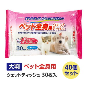 ybgSgpEFbgeBbV 唻TCY 30 40Zbg(2c/s)i22-067jLȂǂ̂ɋƖpybgpEFbgeBbVʍwV[gybgVbv p Lp