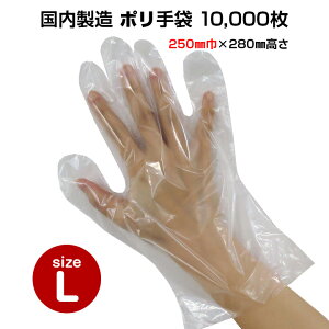 yoׂ܂łɂ2`3Tԁz* | LTCY 10,000Zbg(1c/s) * |G` ĝĎ fBX| Ԃ ĂԂ O[u { Y g؂ g  