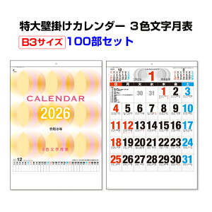 2026N Ǌ|J_[ B3 3F\ 100Zbg(1c/s)(NZB2203) 2026J_[ ߘa8N J_[܂Ƃߔ 傫J_[ ǂ݂₷J_[ NNn ̑i ei i mx