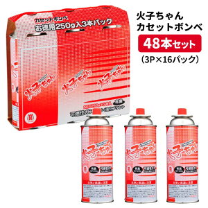 Ύq{x 3P×16pbN 48{Zbg JZbg{x܂Ƃߔ JZbgKX܂Ƃߔ R HX hЗpi AEghA Lv Ɩp