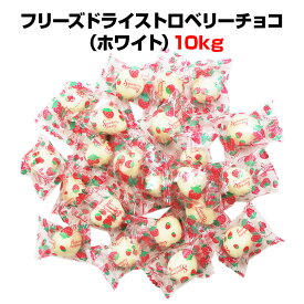 【納期約1ヶ月】 フリーズドライストロベリーチョコ（ホワイト）10kg(1c/s) 大量 お菓子 ホワイトチョコレート＆ドライストロベリー 苺チョコレート いちご 個包装 ギフト お配り バレンタイン 義理チョコ ホワイとデー まとめ買い