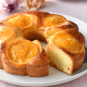 ˓FIWP[L XC[c P[L z[ mَq Y  l[uIW v[g Mtg j Ԃ  ̓ ΕMtg