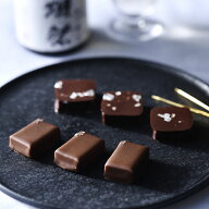 獺祭ショコラ 磨き二割三分 日本酒 チョコ パレドオール スイーツ ギフト バレンタイン プレゼント お返…