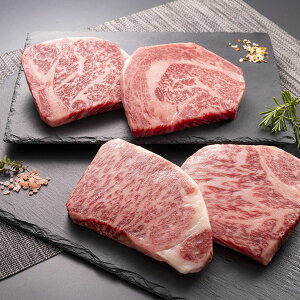 I牮Xe[Li600gj Y  R a T[C u[X ̓ ̓ Mtg v[g ΕMtg