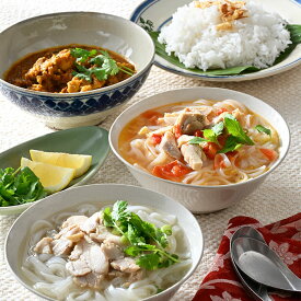 マラソン期間 エントリーでP10倍！おうちで本格ベトナム料理3種セット アジア料理 アジアン クーポノス 大分 フォー サッチャムカレー 無水カレー おおいた冠地どり ナンプラー 化学調味料不使用